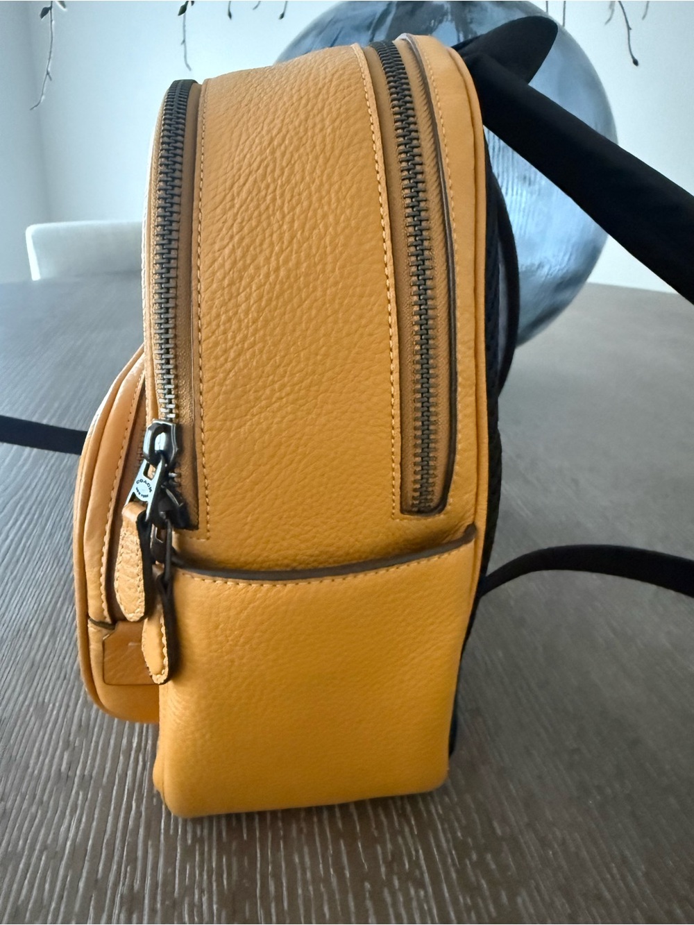 Coach Mini Backpack - Picture 4 of 10